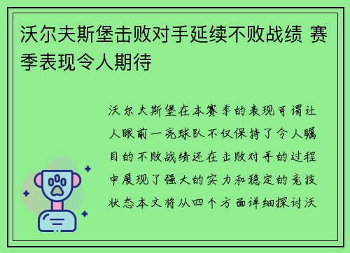 沃尔夫斯堡击败对手延续不败战绩 赛季表现令人期待