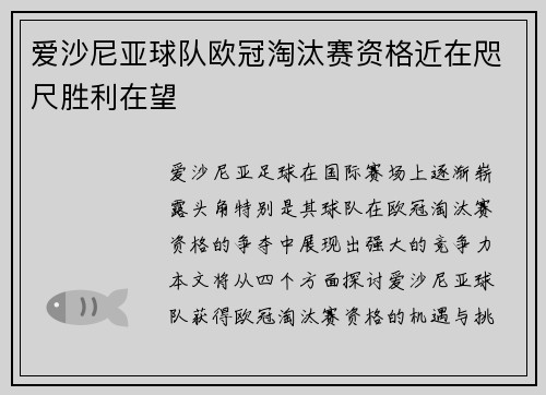 爱沙尼亚球队欧冠淘汰赛资格近在咫尺胜利在望