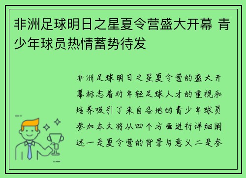 非洲足球明日之星夏令营盛大开幕 青少年球员热情蓄势待发