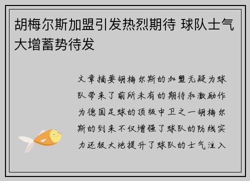 胡梅尔斯加盟引发热烈期待 球队士气大增蓄势待发